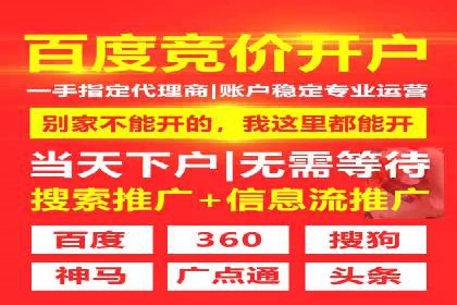 专业SEM服务托管方案案例分析